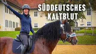 Thumbnail: Riding a South German Coldblood Stallion at Schwaiganger State Stud in Bavaria!