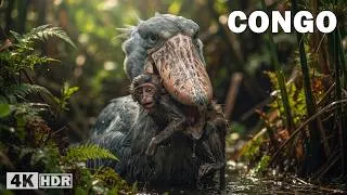 Thumbnail: WILD CONGO | Where Predators Rule Africa’s Most Dangerous Jungle | Nature Animal Documentary