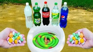 Thumbnail: Snake vs Coca Cola , Fanta , Monster , Spirite , Pepsi and Mentos in the Tolet