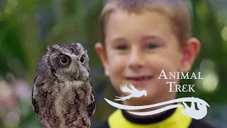 Thumbnail: Animal Trek - Discovery Cove