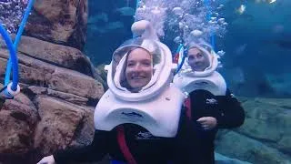 Thumbnail: SeaVenture - Discovery Cove