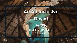 Thumbnail: An All-Inclusive Day - Discovery Cove