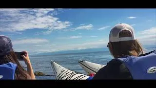 Thumbnail: Kayaking With Killer Whales - San Juan Island, Washington State