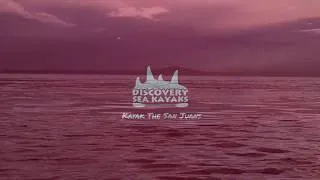 Thumbnail: Sunset Kayak with Whales - San Juan Island