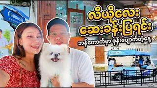 Thumbnail: We LOST Our Phone on Leo’s Vaccination Day 😭📱 | MuvMi Ride + What I Feed Him to Lose Weight 🐶❤️