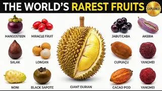 Thumbnail: The Most Rare Fruit Around the World Explained.