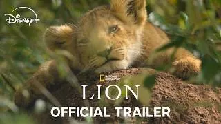 Thumbnail: Lion | Official Trailer | National Geographic