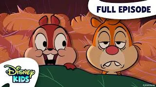 Thumbnail: Too Late to Hibernate / Sorry Nut Sorry / Never Trust a Sausage | Chip 'n' Dale: Park Life S1 E10