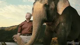 Thumbnail: Animal | Full Movie Facts & Review in English | Ranbir Kapoor | Rashmika Mandanna