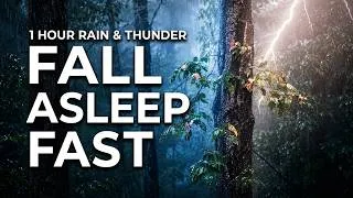 Thumbnail: Soothing Relaxing Rain Sounds On The Forest | Thunderstorm Ambience For Sleep & No Interruption