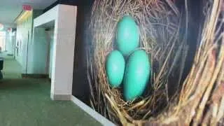 Thumbnail: Visually Integrated Experience