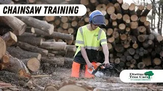 Thumbnail: Chainsaw Training with DTC