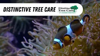Thumbnail: EVERSOURCE LANDSCAPING PROJECT