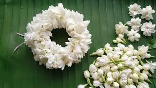 Thumbnail: How to Tie Bloom Jasmine Flowers Closely/Jasmine Garland Tutorial/(Mogra Gajra) Stringing Method diy