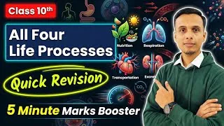 Thumbnail: Life Processes Rapid Revision | Class 10 Biology : Life Processes Recap 💯📚