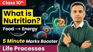 Thumbnail: Nutrition Explained in 5 Minutes | Life Processes Class 10 Rapid Revision #class10 