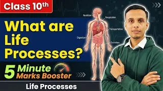 Thumbnail: Life Processes Class 10 Science Biology | What are Life Processes Explained in 5 mins #class10 