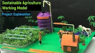 Thumbnail: sustainable agriculture project explanation | science project explanation | english | diyas funplay