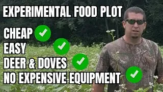 Thumbnail: EXPERIMENTAL FOOD PLOT....THE CHEAPEST, EASIEST, FASTEST GROWING FOOD PLOT THAT IVE EVER SEEN!