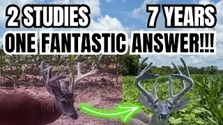 Thumbnail: 7 YEARS....2 STUDIES...ONE FANTASTIC ANSWER FOR DEER MANAGERS!!!