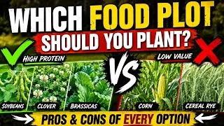 Thumbnail: WHAT FOOD PLOT SHOULD YOU PLANT??? EVERY FOOD PLOT EXPLAINED!!