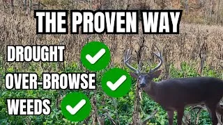 Thumbnail: WE CRACKED THE FOOD PLOT CODE!!! HOW TO NEVER HAVE FAILING FOOD PLOTS EVER AGAIN!!!