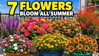 Thumbnail: 7 Gorgeous Flowers That Bloom All Summer—Even in Brutal Heat