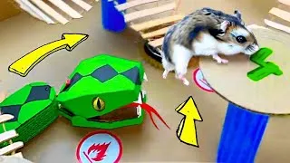Thumbnail: 🐹🐍Snake Hamster Maze with Traps | DIY Hamster Maze