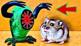 Thumbnail: ☠️🐹EPIC Hamster Maze with Traps 😱[OBSTACLE COURSE]😱