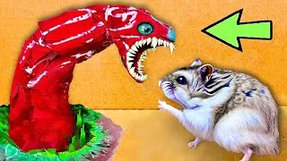 Thumbnail: 🐹 Hamster Escape: Monster Maze - Cute Hamster pets Maze #hamsterescape #mazediytraps