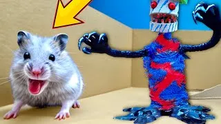 Thumbnail: 🐹 Curious Hamster's Maze Escape: You Won't Believe What Happens!