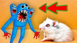 Thumbnail: 🐹 Prison Hamster Maze with Traps 😱[OBSTACLE COURSE]😱+Monsters