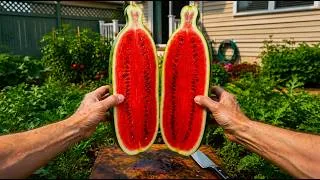 Thumbnail: I Tried This Weird Garden Experiment and the Result Left Me Speechless