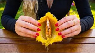 Thumbnail: 13 Easy Gardening Hacks to Transform Your Backyard