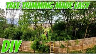 Thumbnail: How To Trim & Prune Tree Branches on a Budget I I Tree Cutting I Satisying Tree Sounds I DIY