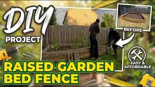 Thumbnail: How To Keep Animals Away from Your Garden I Raised Garden Bed Fence on a Budget I Cheap DIY Project