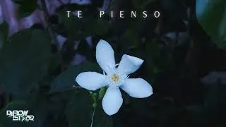 Thumbnail: Te Pienso  - Dj FlowStar (Audio)