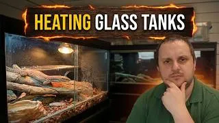 Thumbnail: How to Keep the Perfect Temperature in a Glass Reptile Enclosure