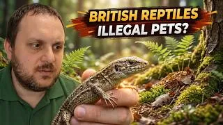 Thumbnail: Why British Reptiles Aren't Kept as Pets (But Corn Snakes Are!)