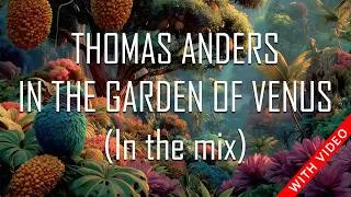 Thumbnail: Thomas Anders - In the Garden of Venus (In the mix) with video