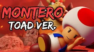 Thumbnail: MONTERO (Call Me When You Want) TOAD PARODY Of Lil Nas X