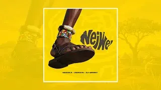 Thumbnail: DJ Spinny X Amanya X Mozaka - Neiwe (Visualizer)