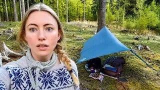 Thumbnail: I Tried Camping in a Forbidden Forest… And Woke Up to This