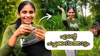 Thumbnail: എൻ്റെ പാളിപ്പോയ പച്ചക്കറിത്തോട്ടം !!!😜😩😍@dlittlejoys 