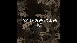 Thumbnail: Caravan Palace - Miracle (Boogie Belgique Remix)