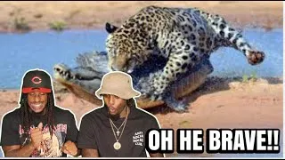 Thumbnail: 30 TIMES ANIMALS MESSED WITH THE WRONG OPPONENT