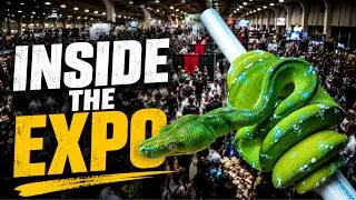 Thumbnail: Inside the Reptile Super Show | One of America’s Biggest Reptile Expos