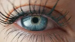 Thumbnail: Eye with a Blue Iris and Long Lashes Painted with Mascara - Human Eyes