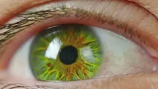 Thumbnail: Green eye extreme close up - Human Eyes
