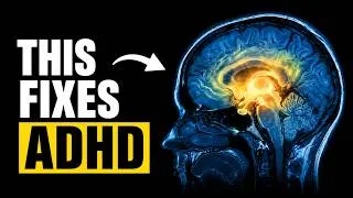 Thumbnail: These Blood Tests Reveal Exactly How To Fix ADHD